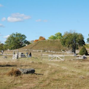 Hågahögen
