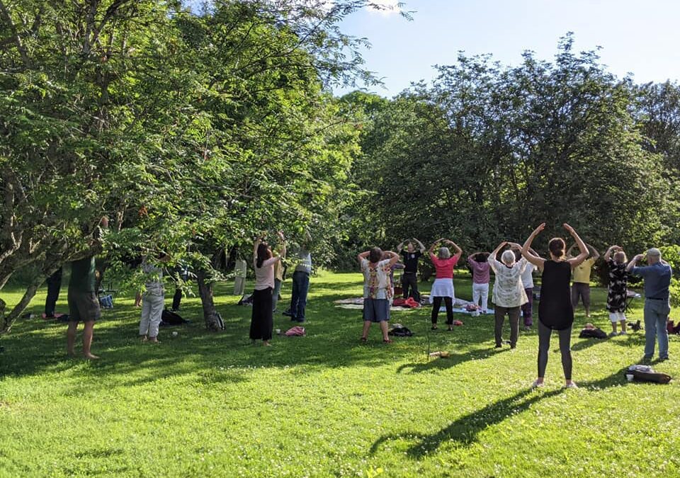 Qigong på Staffansgården