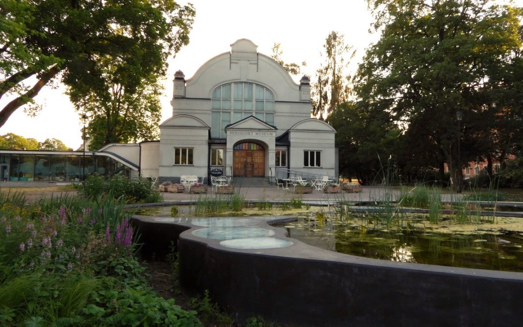 Guidad visning i Vasaparken