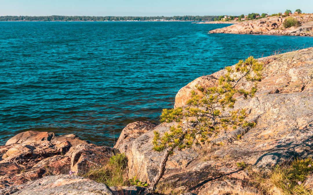 Vattenkraft samt tjusiga bilder, Öregrund