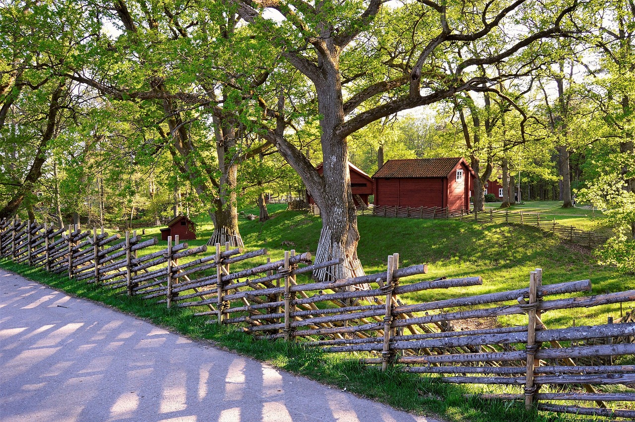 Europeiska kulturarvsdagen Visning och vandring i Åsby by Knutby