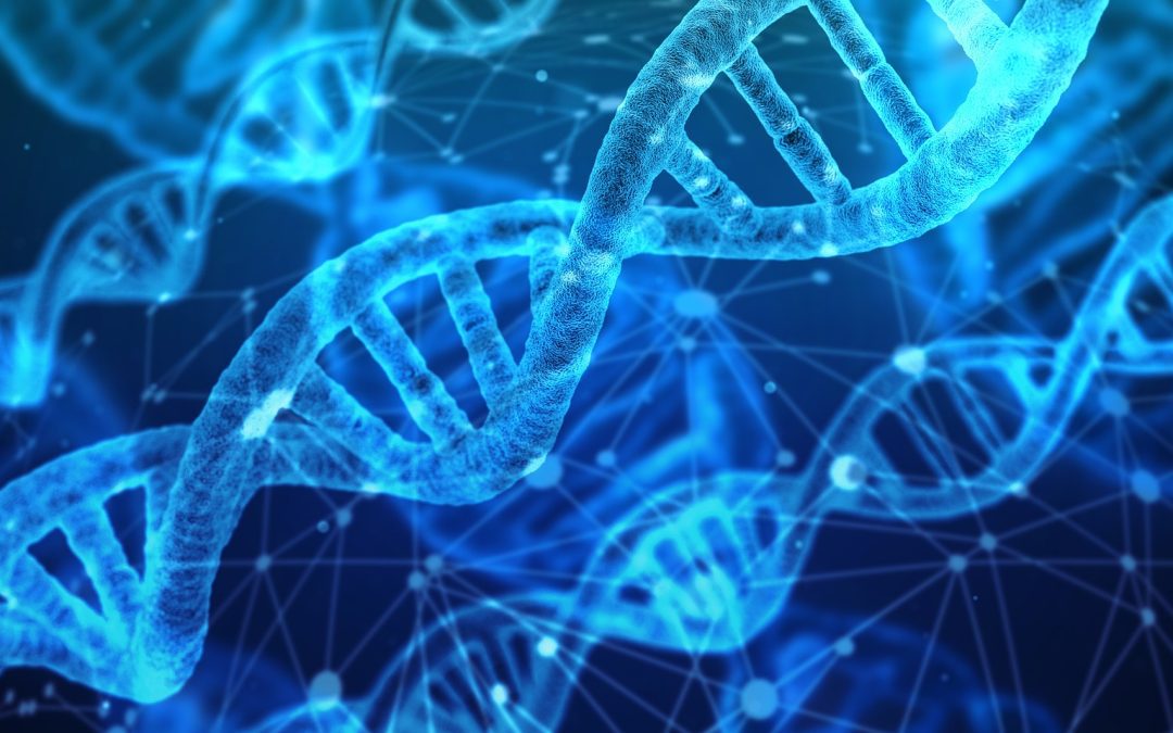 Föreläsning om DNA från gamla fältslag och sjunkna skepp