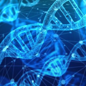 DNA dubbel Helix