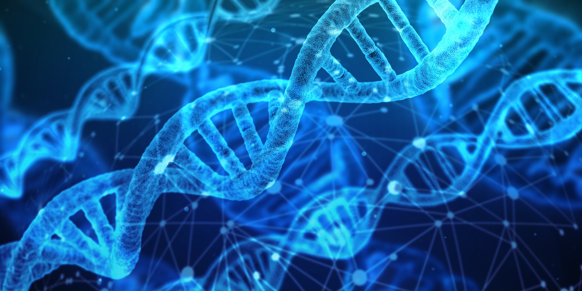 DNA dubbel Helix