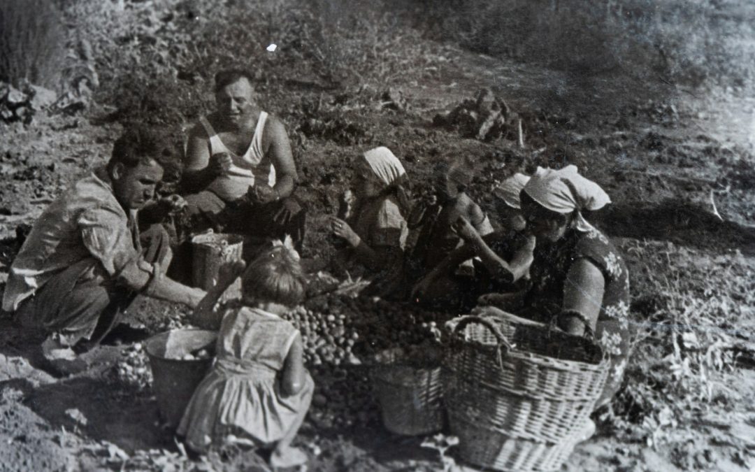 Föredrag “Hur kvinnor och män arbetade (1600-1900)”