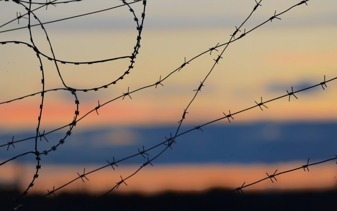 Våldets historia – en föreläsning med Patricia Lorenzoni