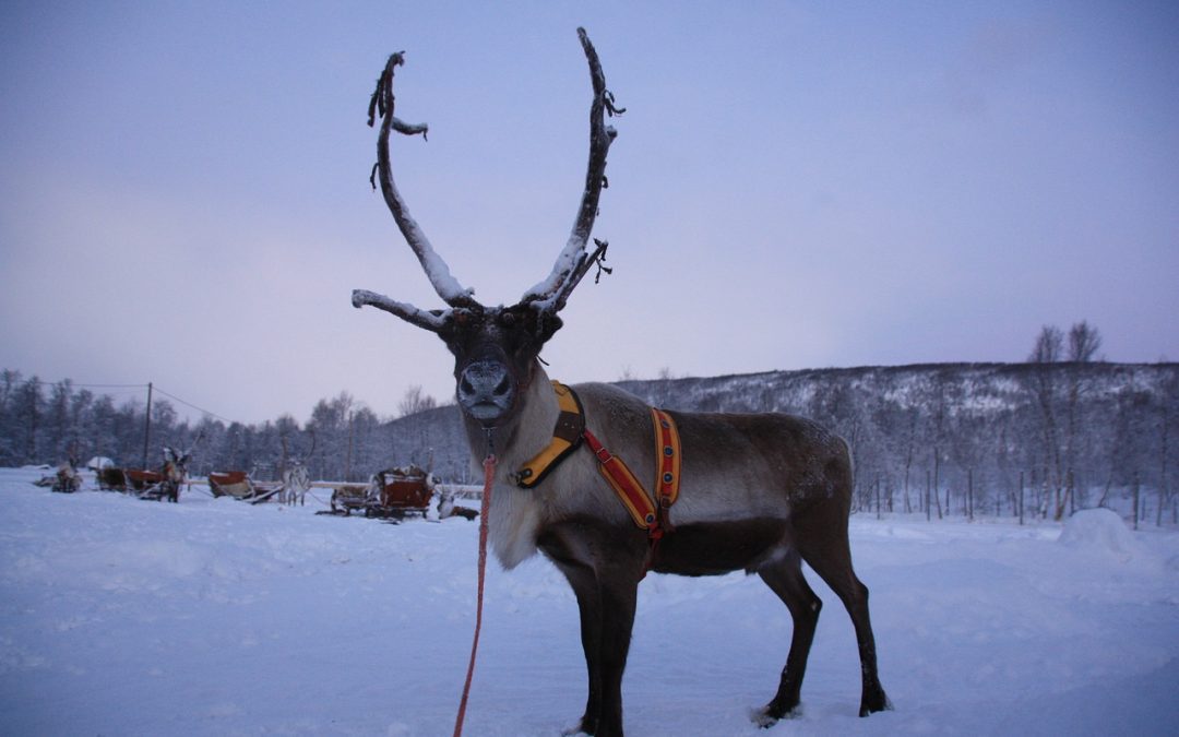 Sockenlapparna kring Gävle på 1700-talet
