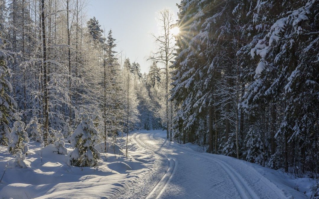130 mil på skidor, ett föredrag om Vita bandet