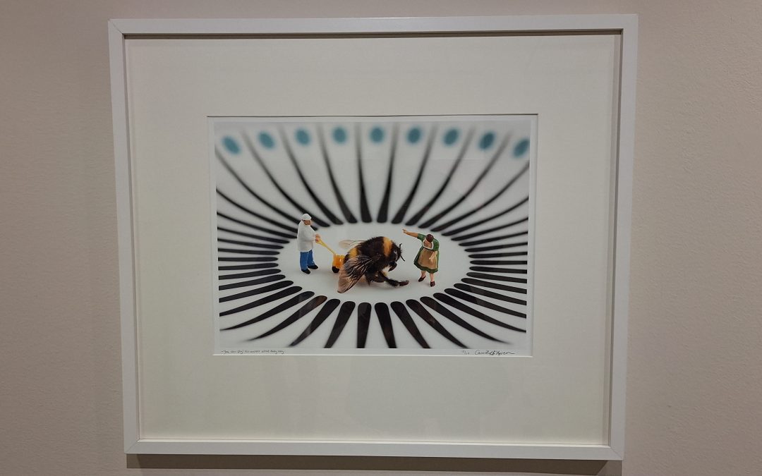 fågel – mittemellan – fisk – eller?