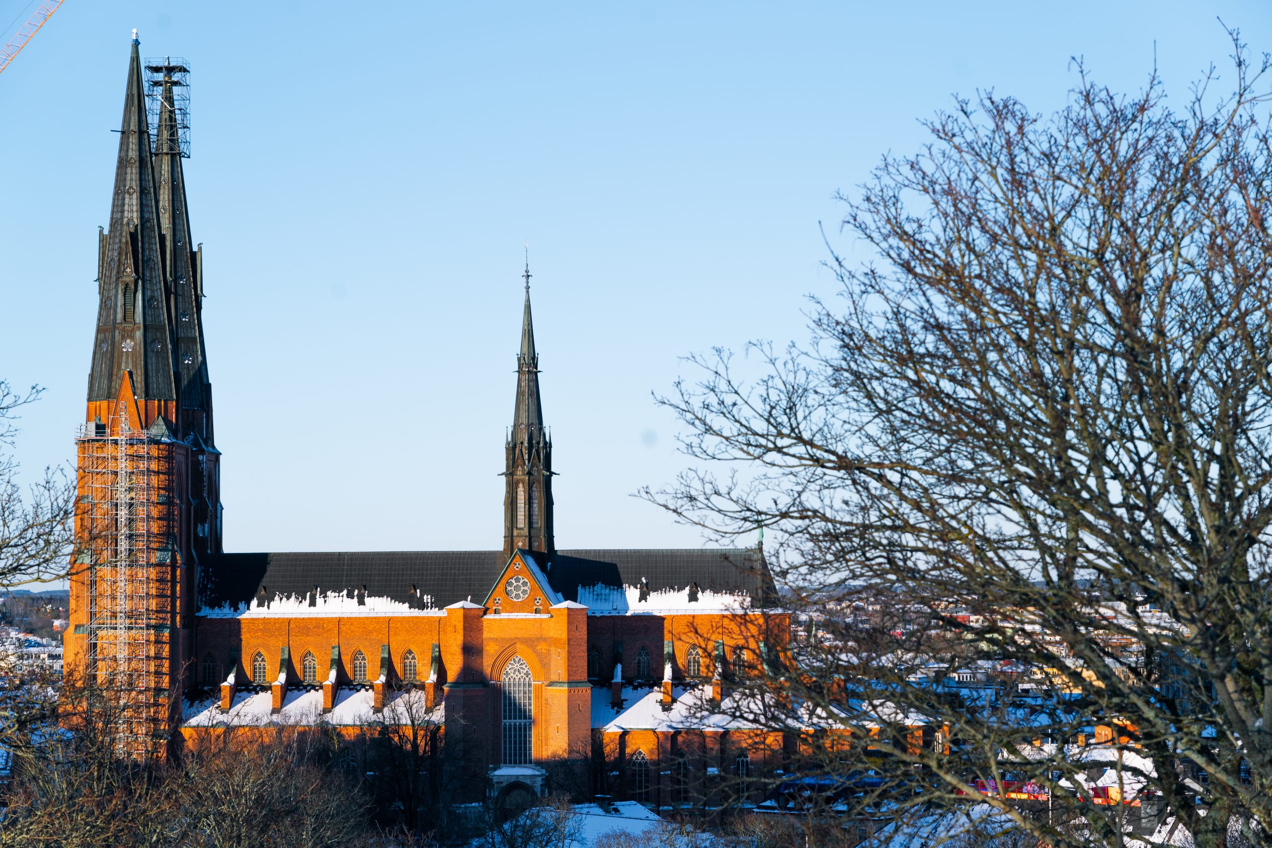 Bild på Uppsaladomkyrka Upplev Choral Evensong och aftonsång på söndagseftermiddagar