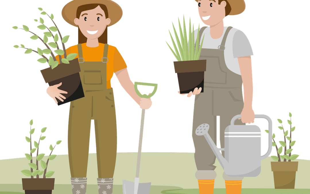 Inspiration för din trädgård