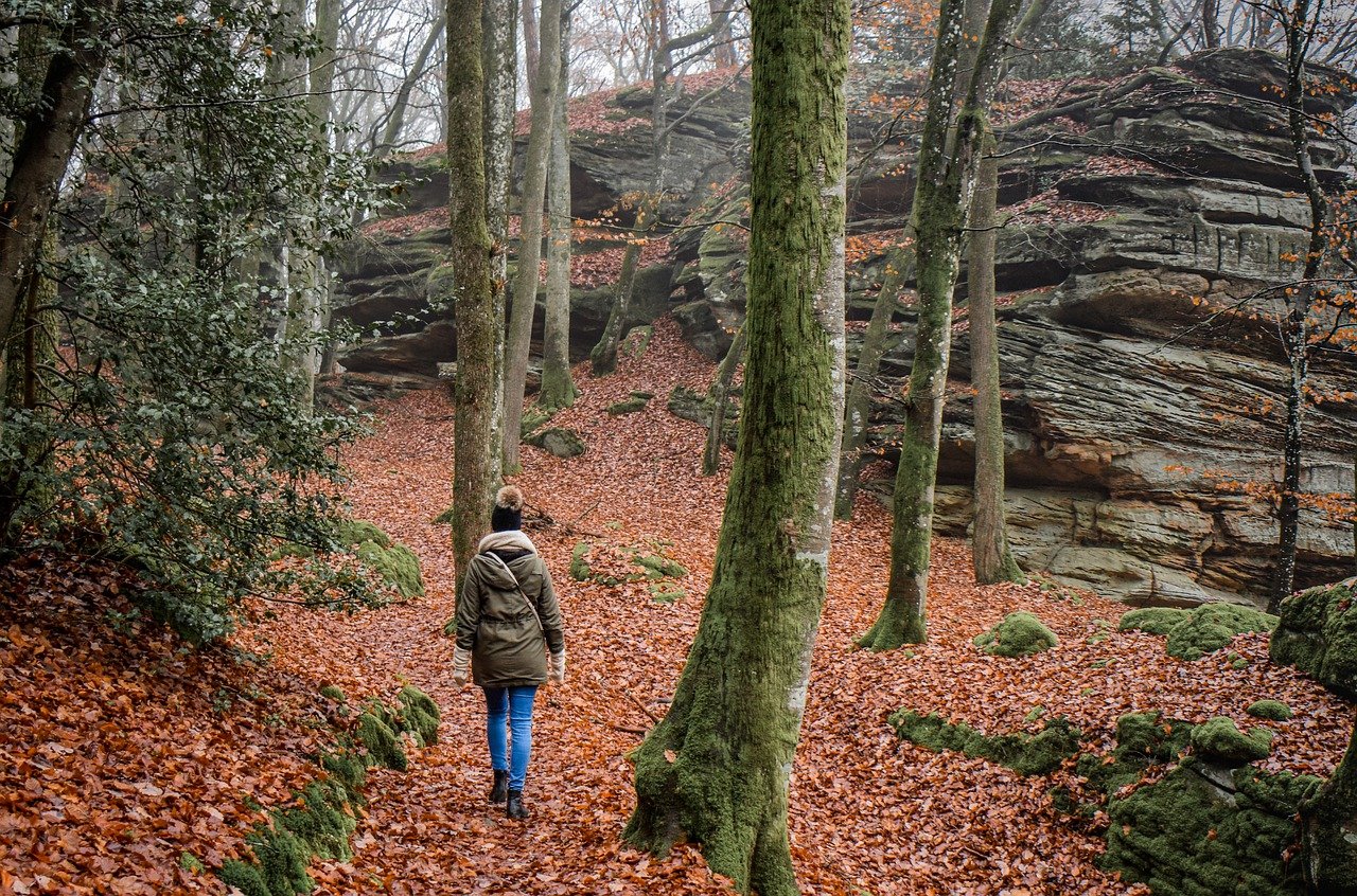 natur vandring