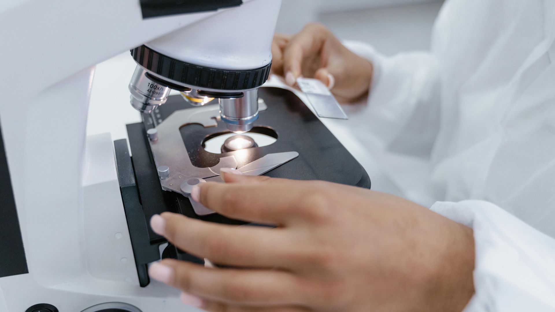 Forskning, en mikroskop undersökning.