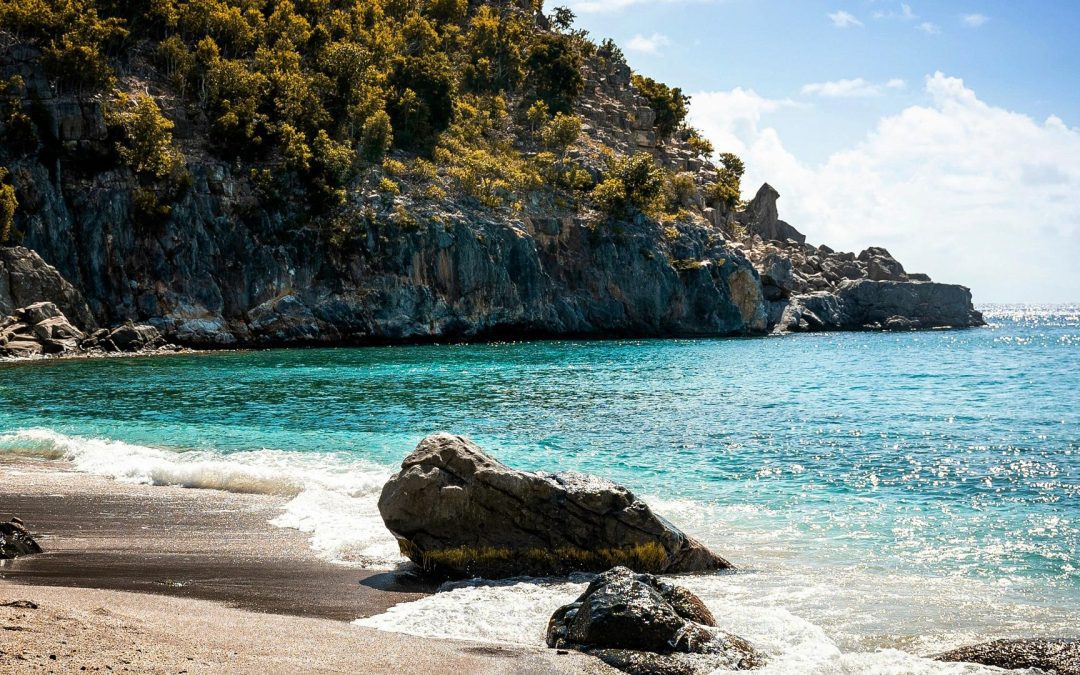 Föreläsning: Kvinnornas liv i den svenska kolonin St.Barthélemy