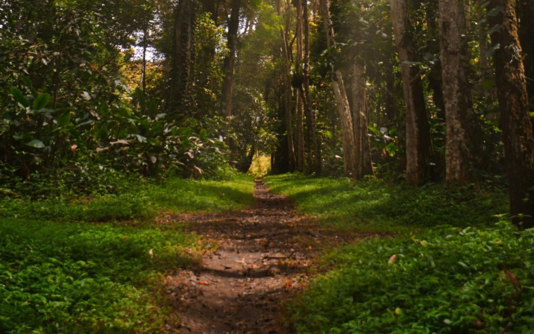 Kyrkstigsvandring mellan Kättsbo och Lagmansbo