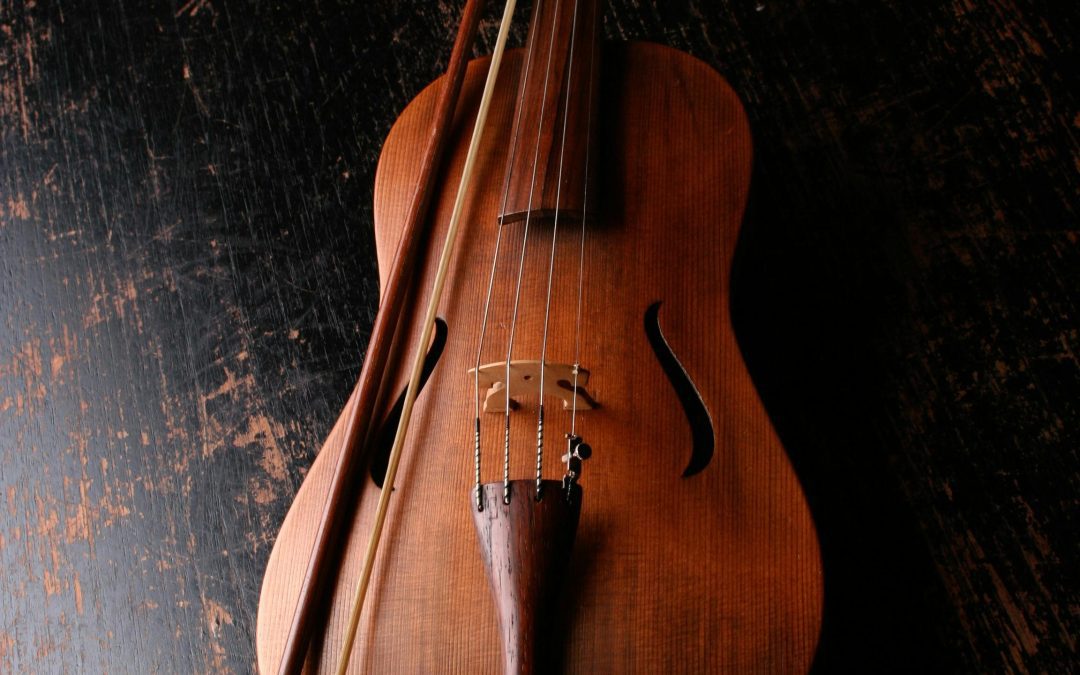 Stråkorkesterkonsert