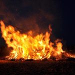 Foto av en stor majbrasa