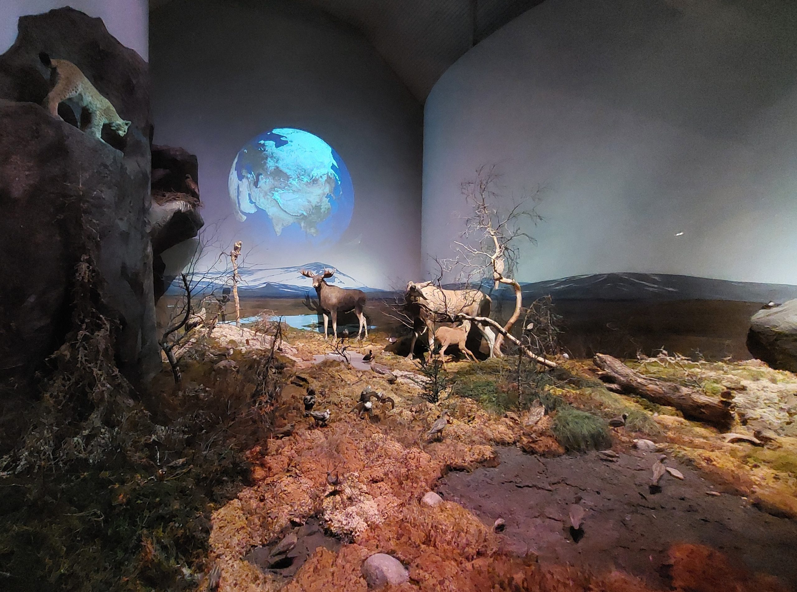 Utställning Biotopia