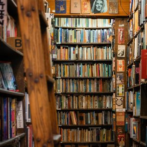 dekorativ bild Ungdomsrådets bokcirkel - Shatter me av Tahereh Mafi