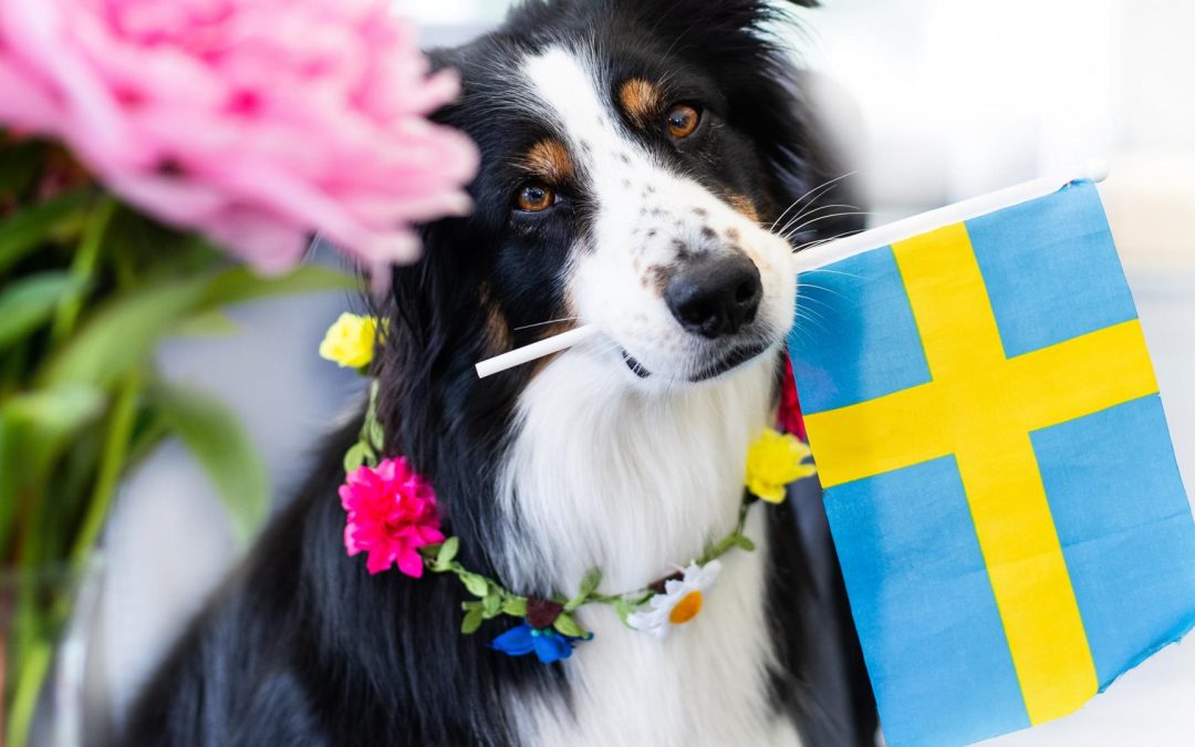 Nationaldagsfirande på Friluftsmuseet Disagården