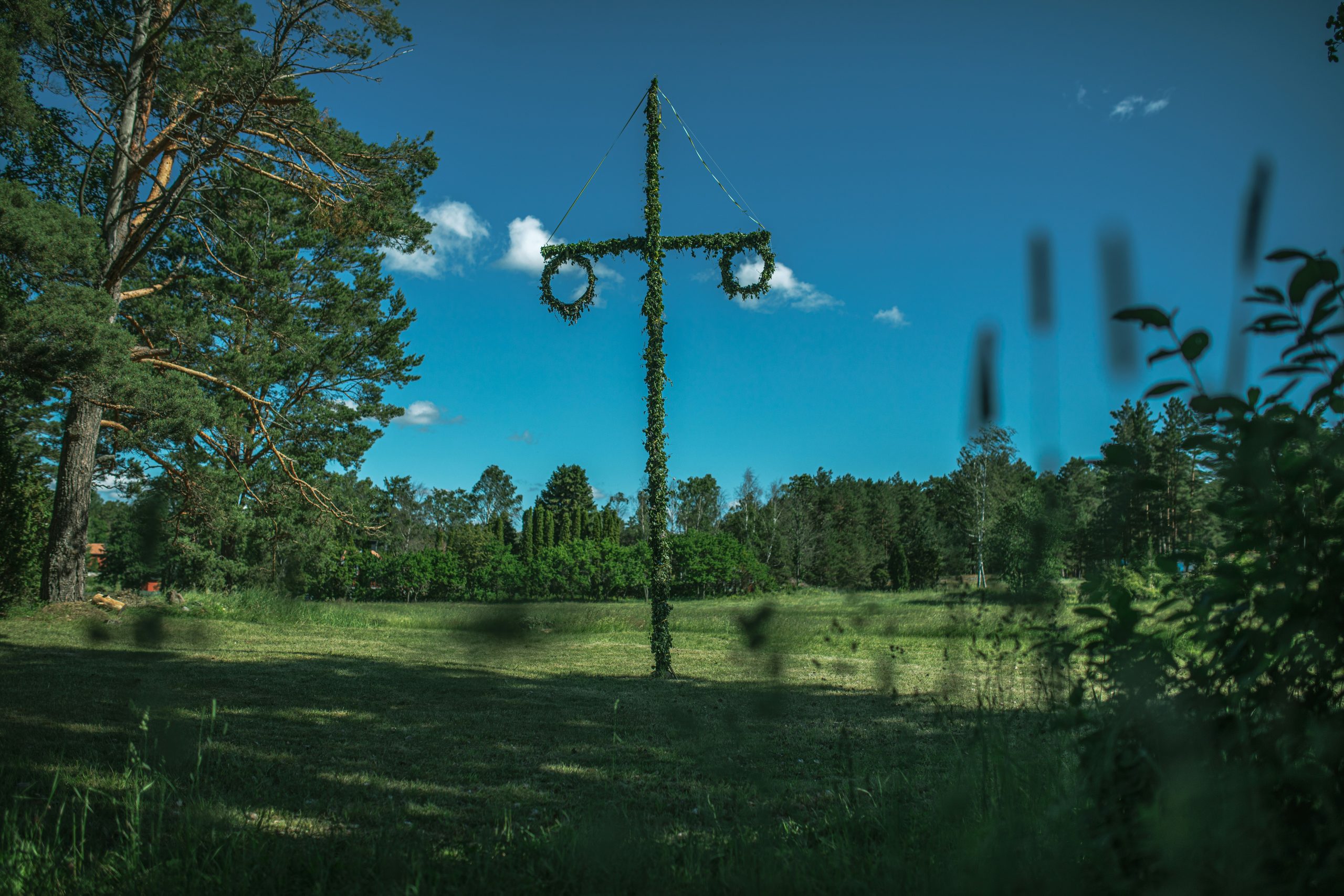 Bild på en hög midsommarstång
