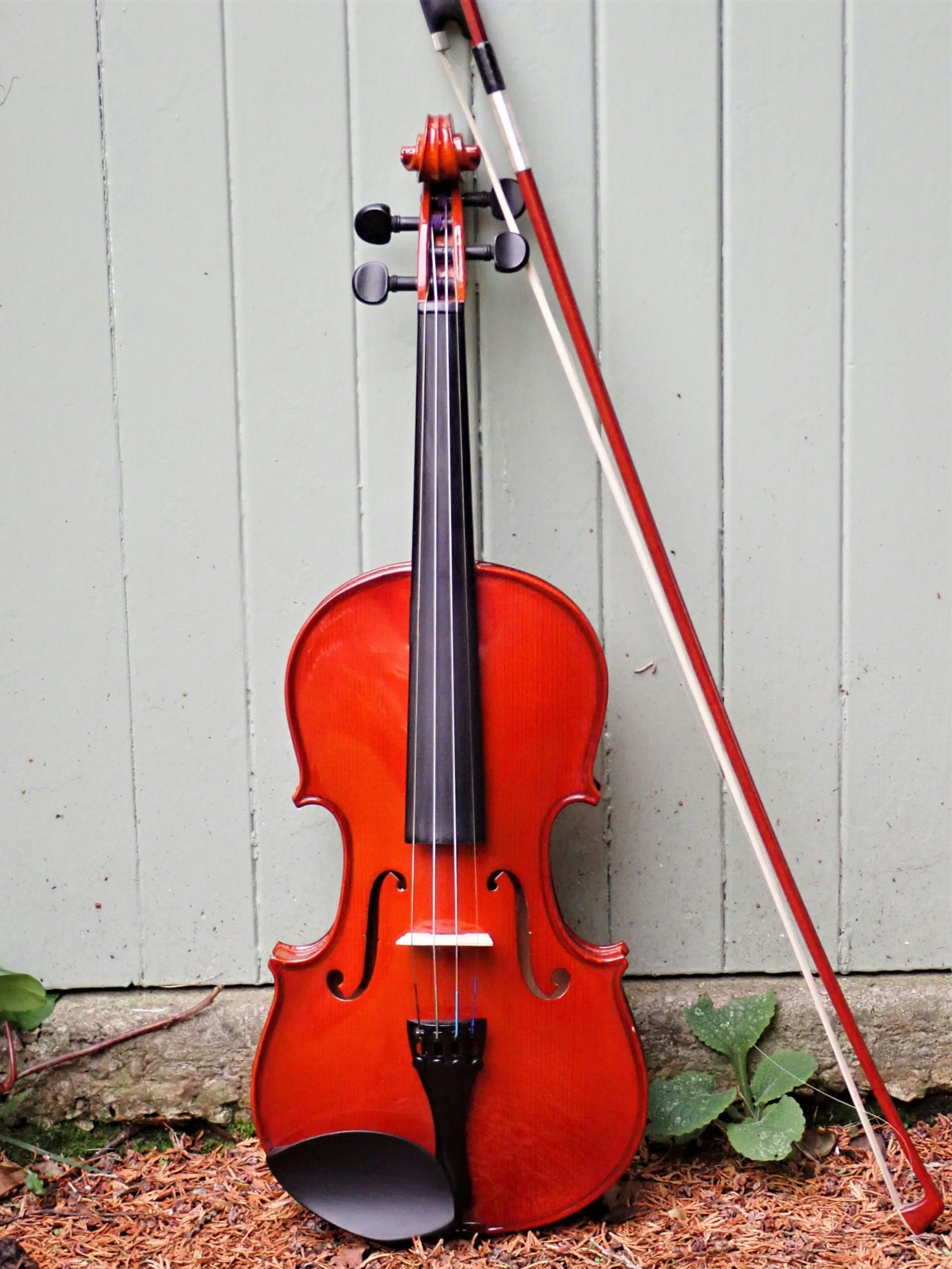 live musiker