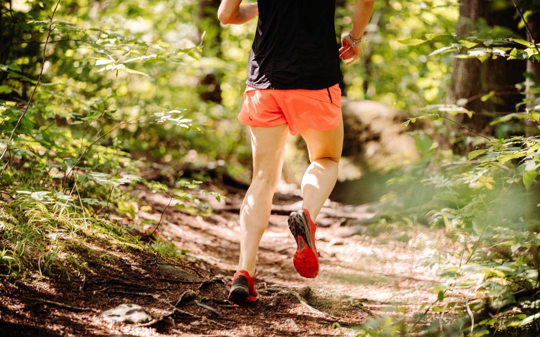 Säsongsfinal Hitta ut