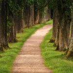 Naturvandring Vandring till Högmokällan