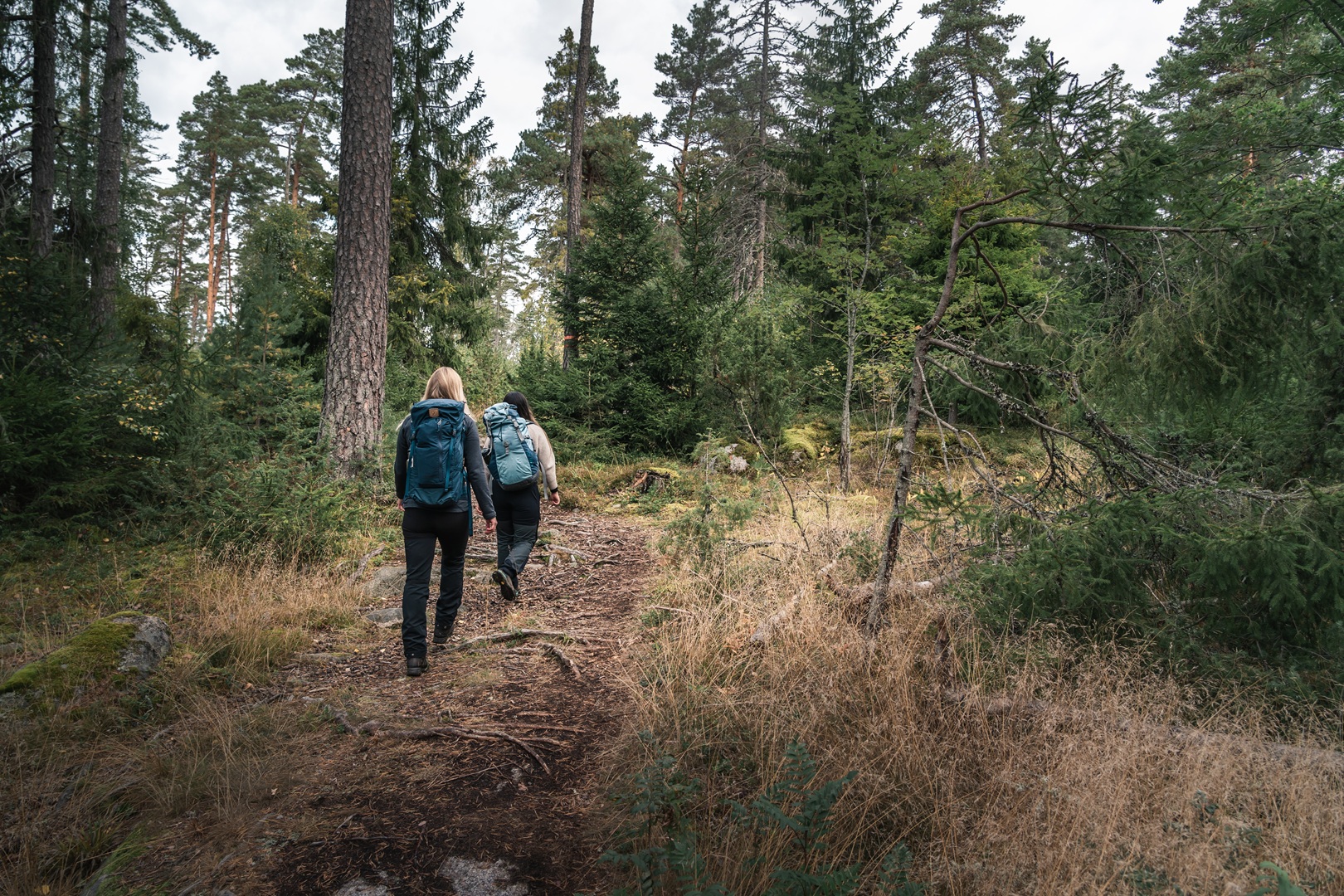 Två personer som vandrar längs en skogsstig