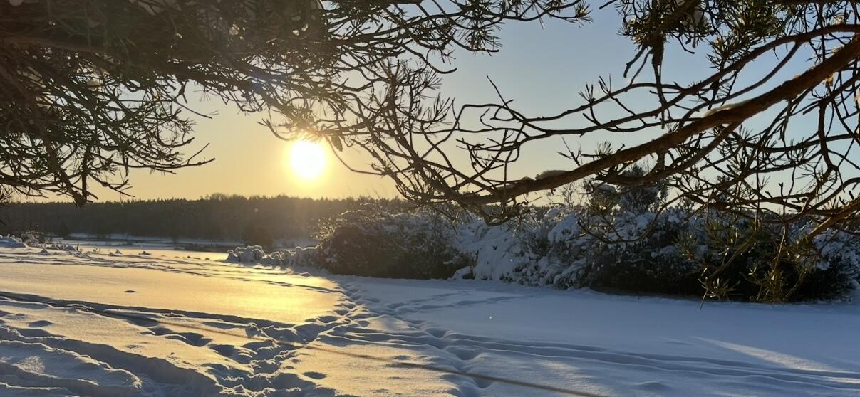 Vinterbild med sol i fjärran