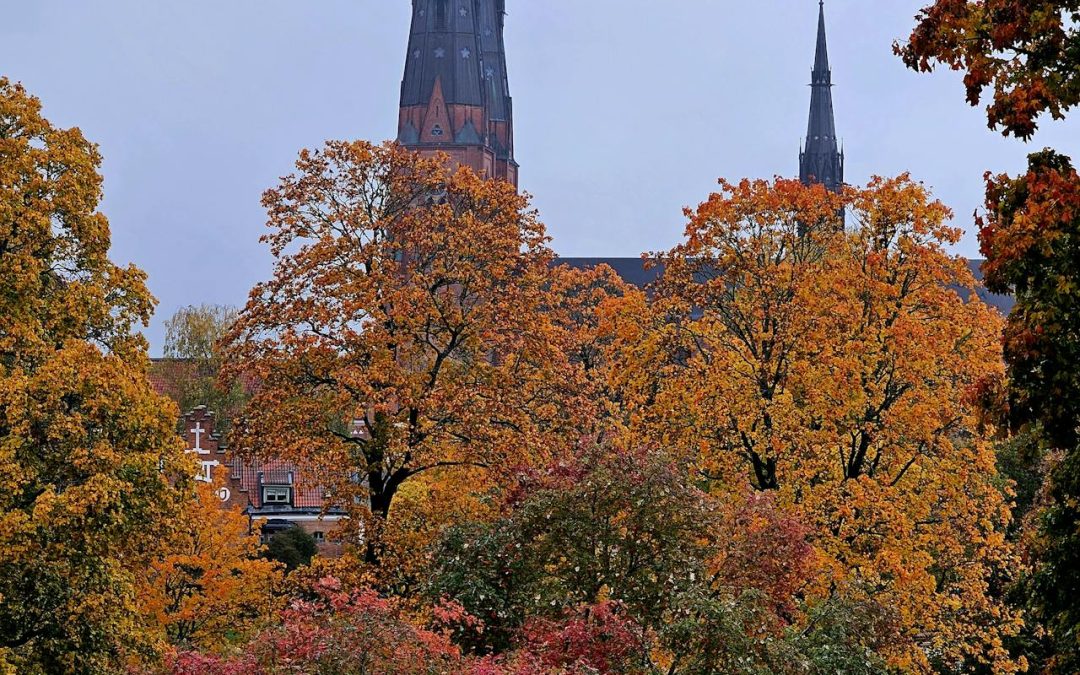 Invigning av utställning Peter Frie