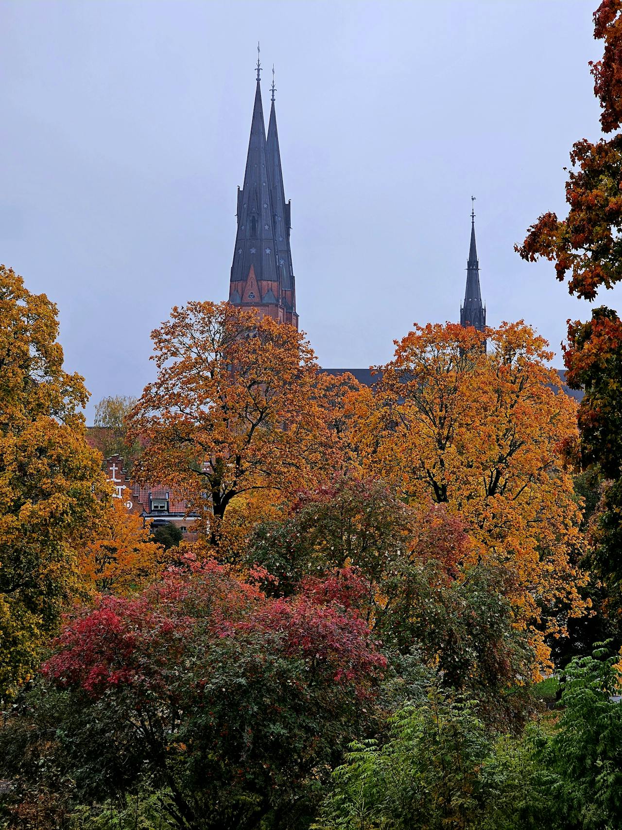 Uppsala Domkyrka