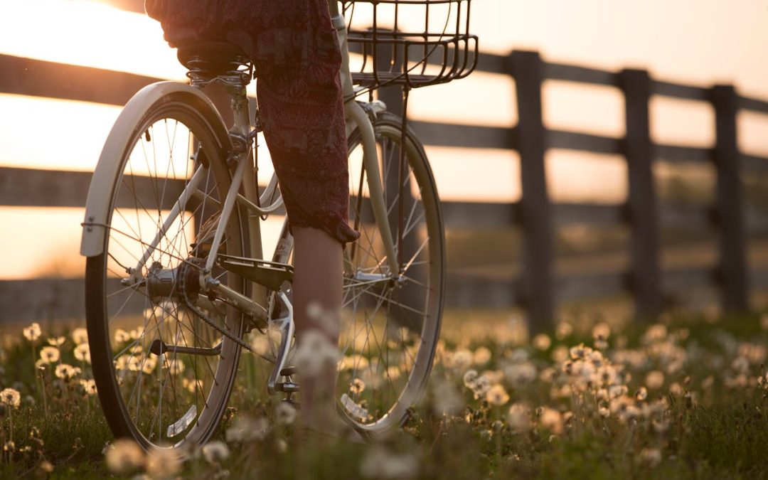 Cykelkonsert på Gottsundadagen