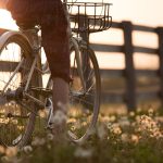 Cykel