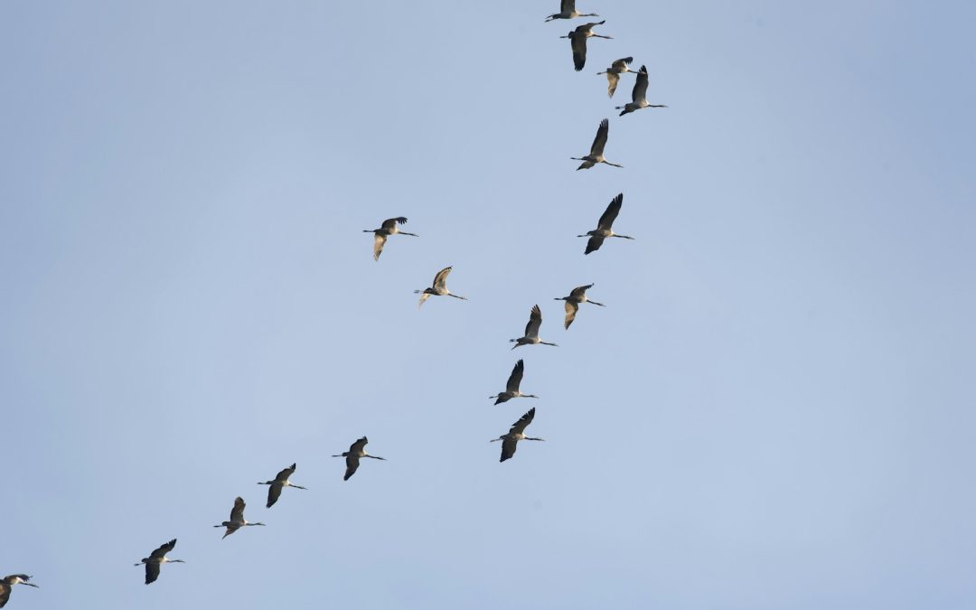 Trankväll vid Hjälstaviken