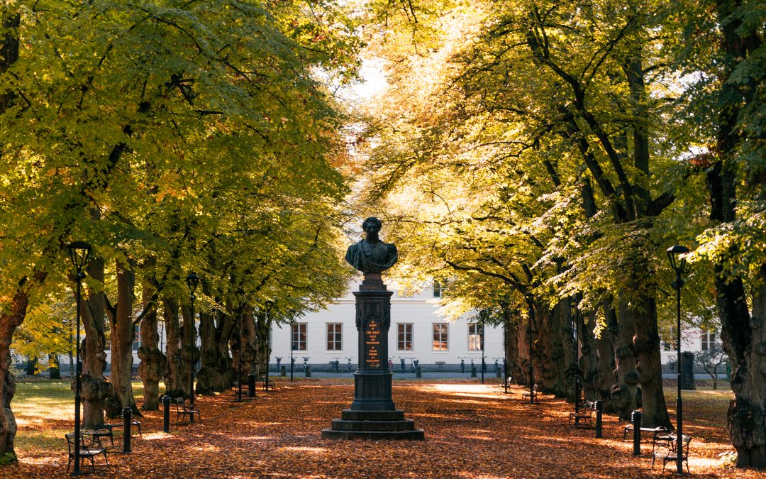Högre seminarium i nordiska språk: Hanna Birkelund Nilsson