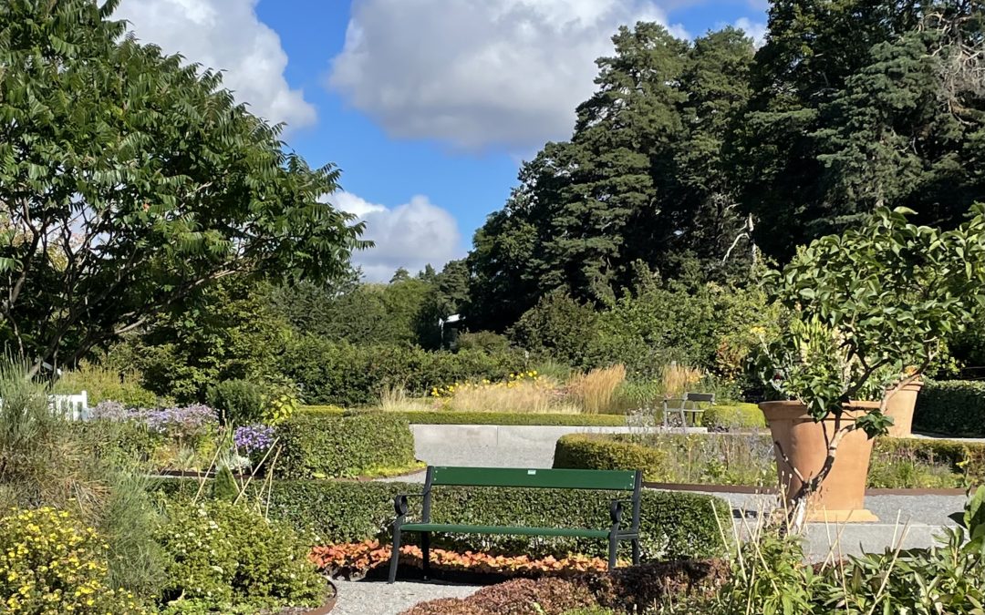 Promenera och lär dig i Kunskapsparken vid SLU