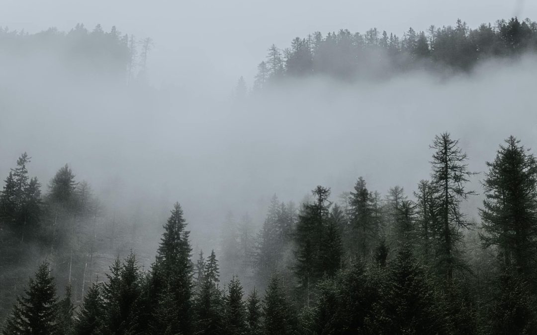 Vi måste få en vildare natur