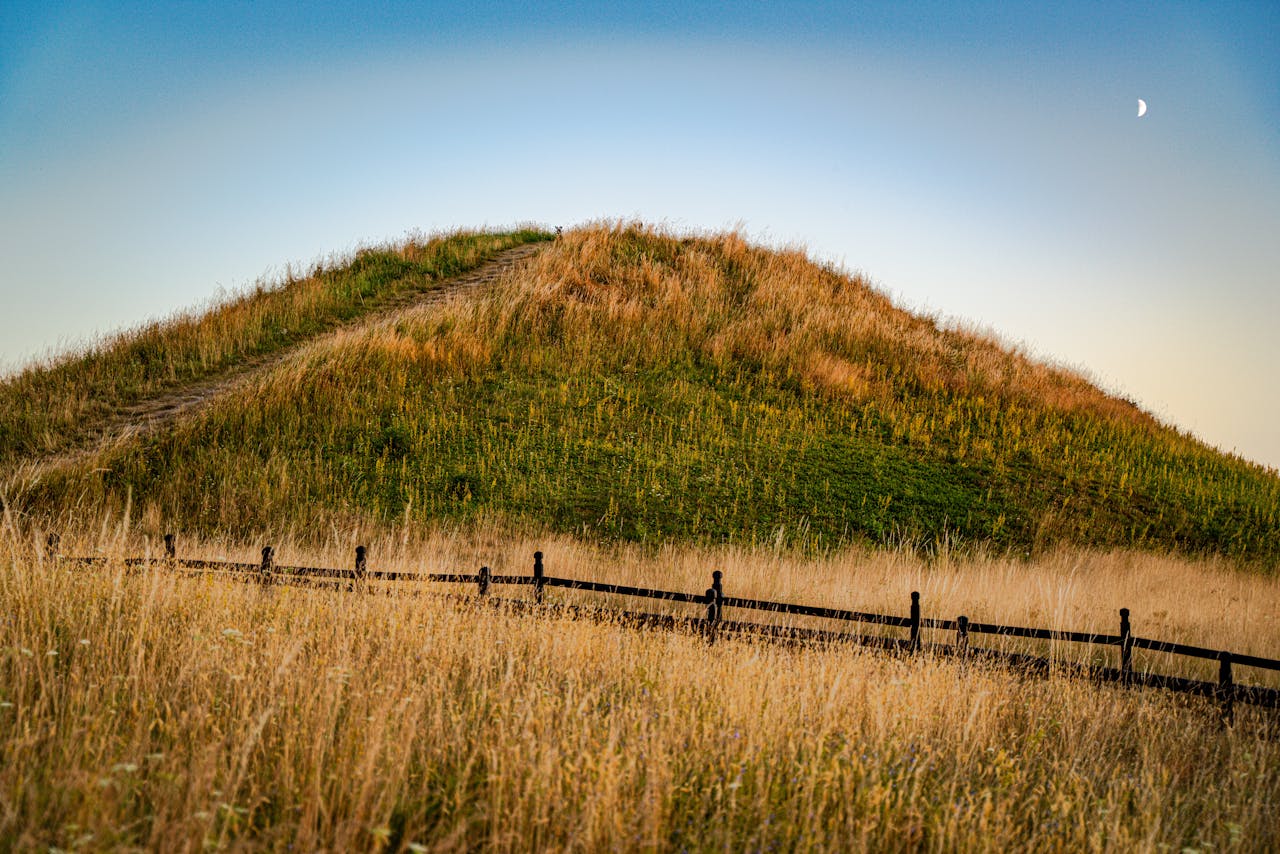 Gamla Uppsala högar