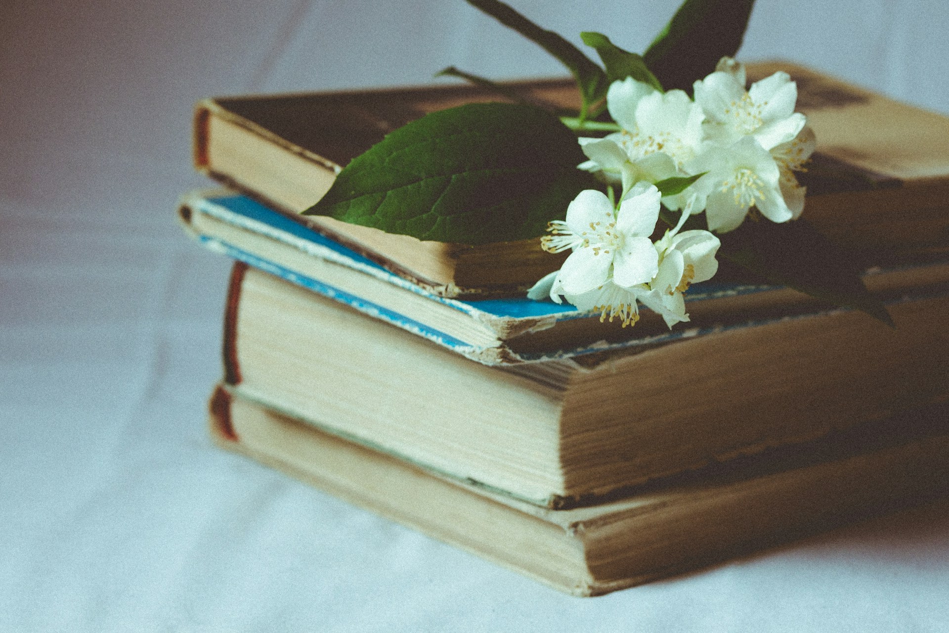 Läsa tillsammans, Böcker, Litteratur, bibliotek, Augustpriset