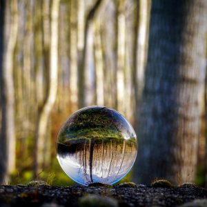 Meditation & poesi i litteraturens hus