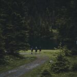 Grupp om tre personer ute på Skogsvandring i Hjälstaviken