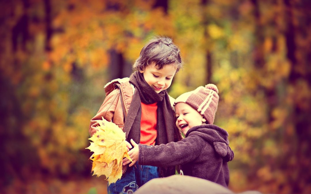 Höstlov Uppsala län 2025