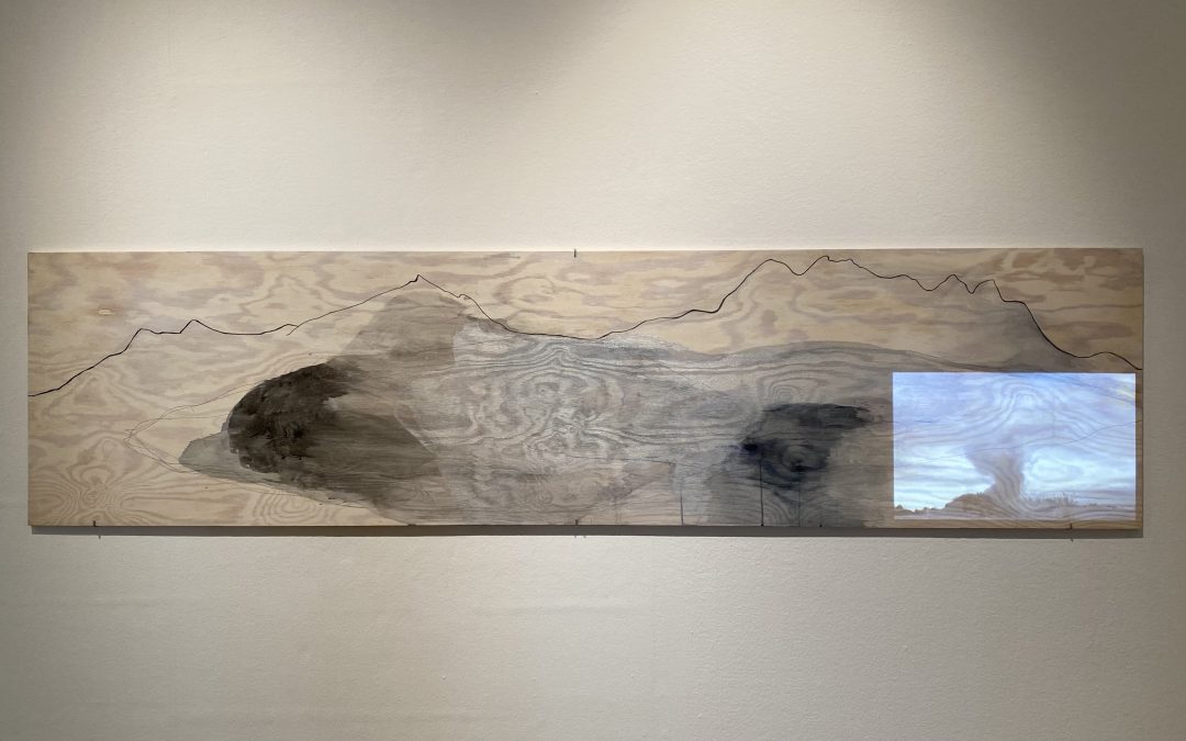 Uppländsk salong på Uppsala konstmuseum