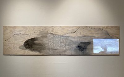 Uppländsk salong på Uppsala konstmuseum