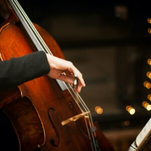 Inzoomad Cello