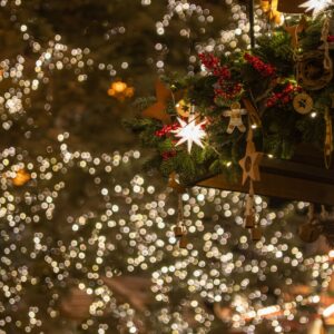 Utflykt med Tinget: Julmarknad i Strängnäs