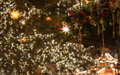 Utflykt med Tinget: Julmarknad i Strängnäs