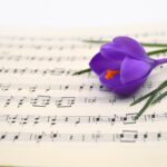 På en öppen notbok, där man kan se musiknoterna, ligger en lila krokus.