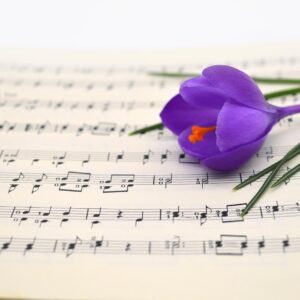 På en öppen notbok, där man kan se musiknoterna, ligger en lila krokus.